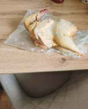 Курица