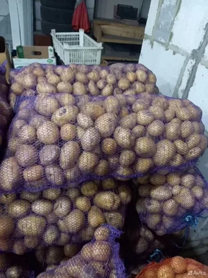 Картофель сетками