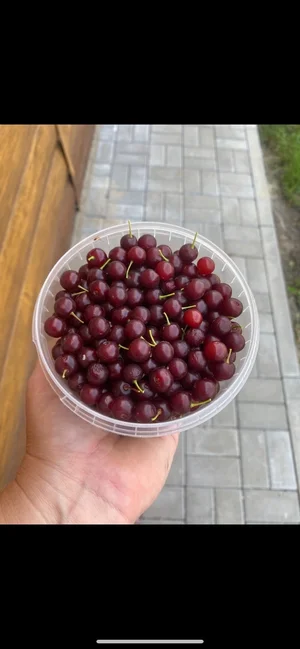 Закрутки