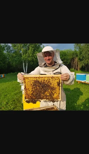 Мед разнотравие
