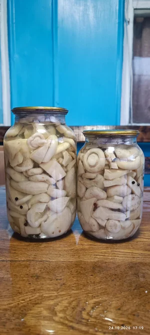 Грузди маринованные