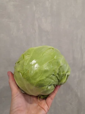 Молодая капуста