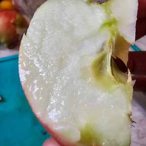 Яблоки