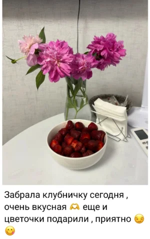 Клубника