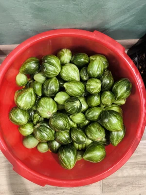 Огурчики для закруток