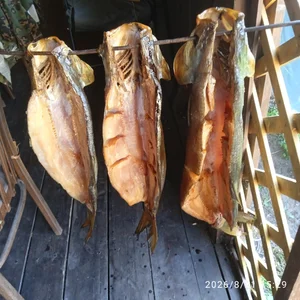 Рыба (жерех) холодного копчения