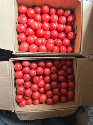 Розовый крупный помидор