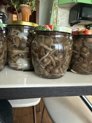 Маринованные опята