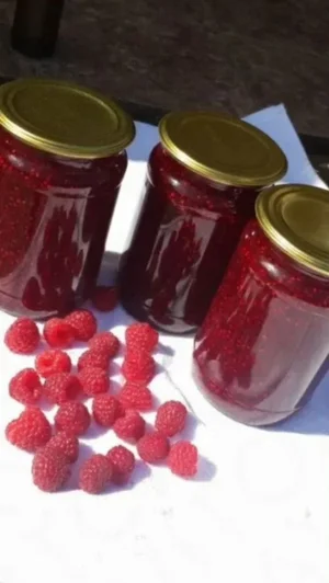 Саженцы малины сорта Атлант