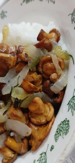 Лисички