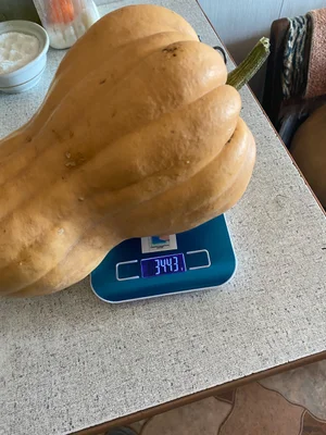 Тыква сладкая