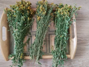 Земляника лесная