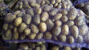 Картофель
