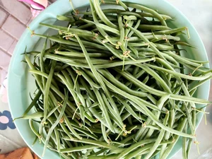 Спаржевая фасоль