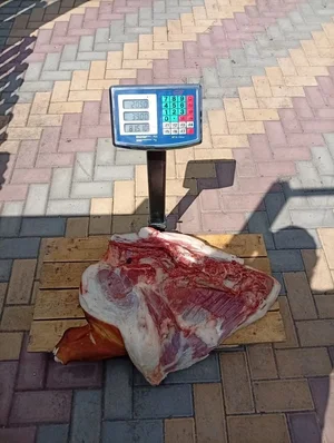 Свинина