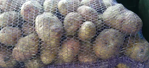 Картофель