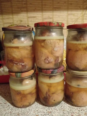 Курочки молодые