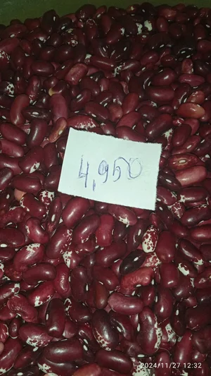 Фасоль