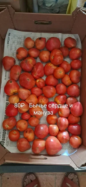 Помидоры разные