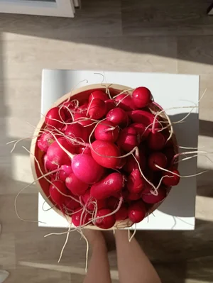 Редис